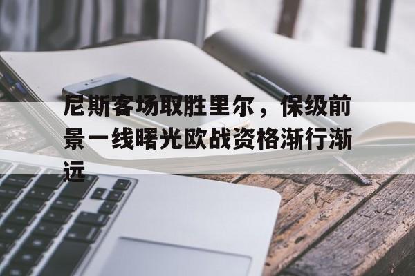 尼斯客场取胜里尔，保级前景一线曙光欧战资格渐行渐远的简单介绍