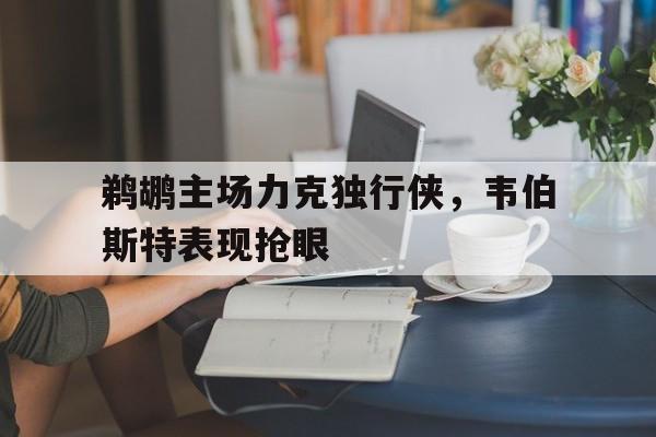 鹈鹕主场力克独行侠，韦伯斯特表现抢眼