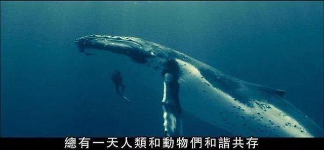 Karsa在塞尔维亚队比赛中大胜，突破纪录引发热议！